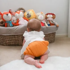 The Peanutshell Charlie The Bear Knit Plush -Wild Republic Sales Store GUEST 24bcf7a7 0953 4316 aa20 e5b5c1ed53e4