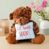 Get Well Soon Bear Plush Pillow, Get Well Soon Bear For Kids, Adults (Dark Brown, 14 In)