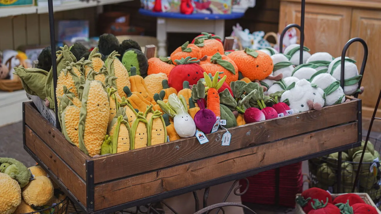 Wild Republic Sales Store -Wild Republic Sales Store 20250111 CUP504